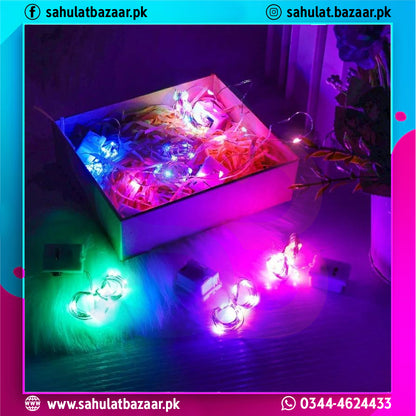 Colorful string lights in a box with visible brand logo and contact information.