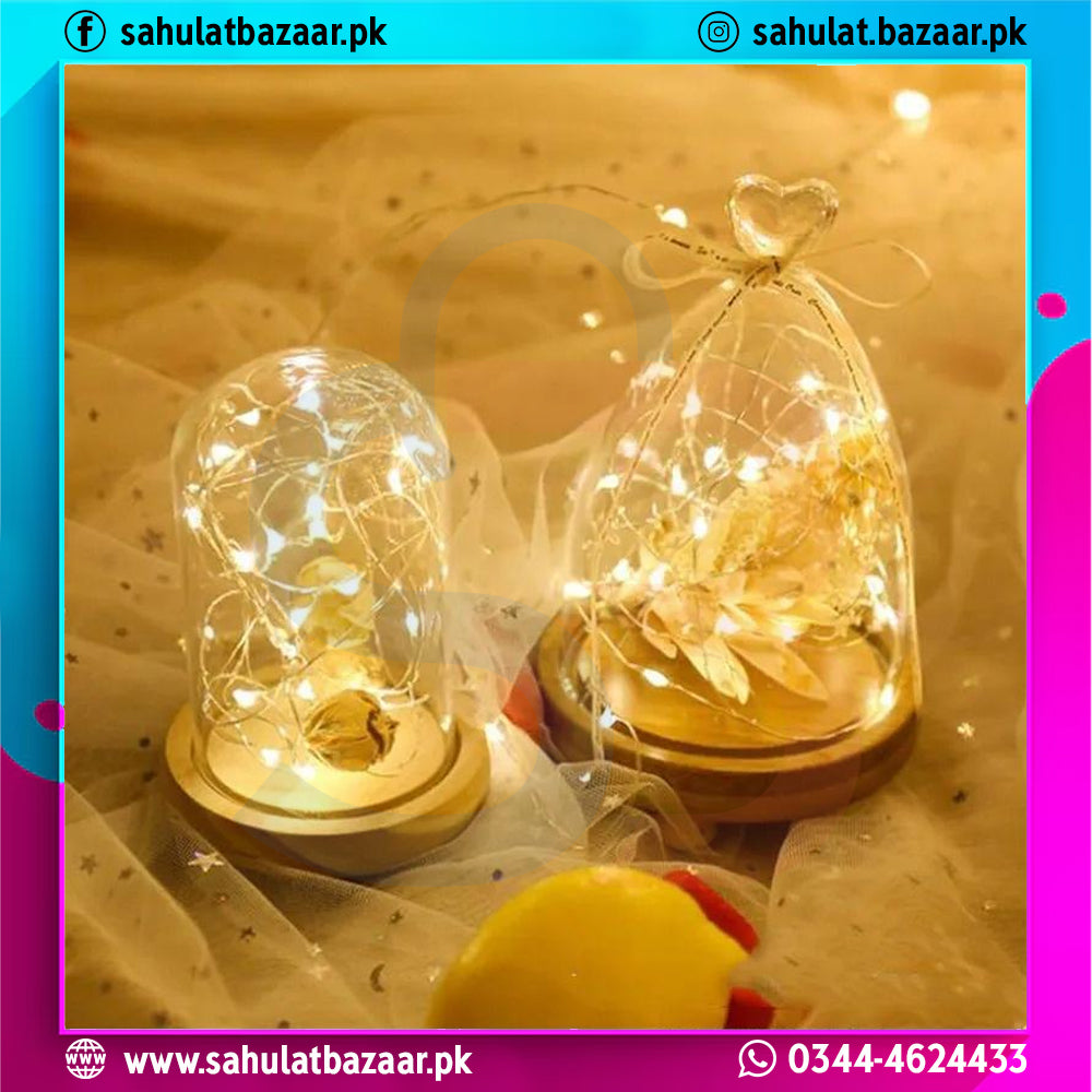 Decorative string lights in glass domes with a blurred background