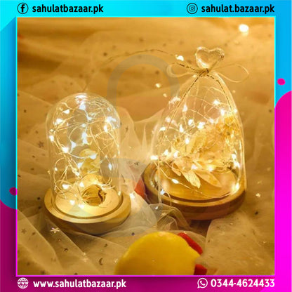 Decorative string lights in glass domes with a blurred background