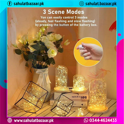 Decorative string lights with a vase of flowers on a table, featuring '3 Scene Modes' text.